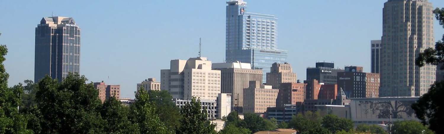 Banner image of Raleigh